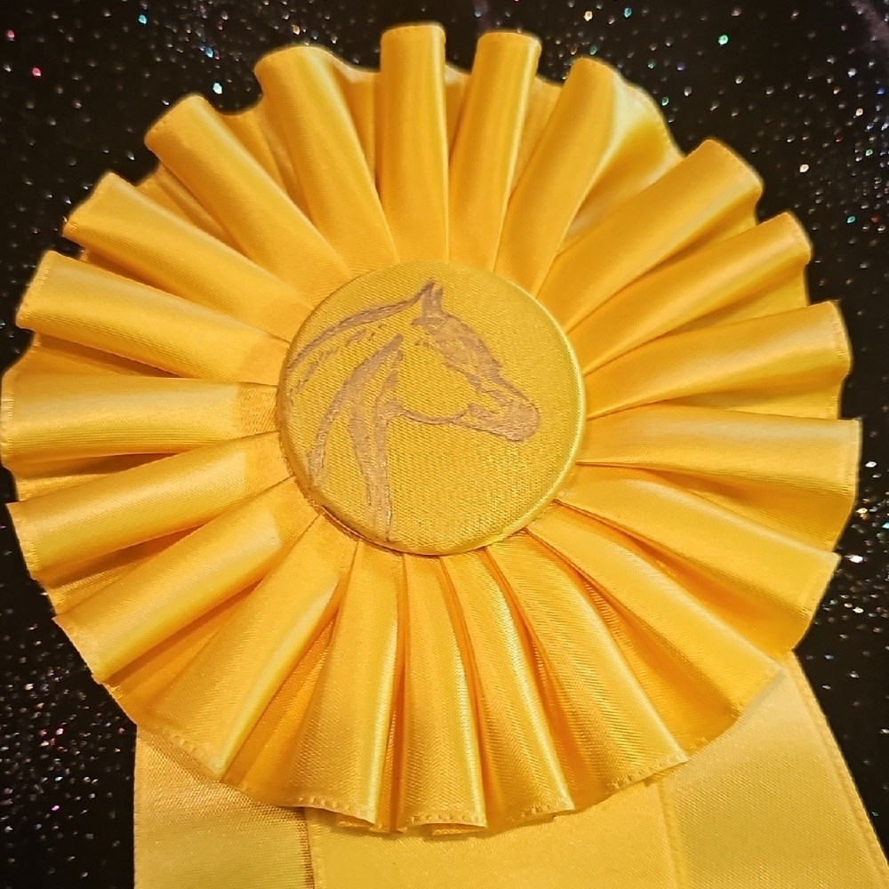 3 original from 1965 1967 NM Albuquerque State Fair Horse Show ribbons rosettes - Picture 10 of 13